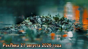РекЛика 21 августа 2026 года