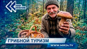 Почему грибные туры в Подмосковье стали трендом сезона?