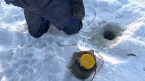 🐟Охота на огромных Рыб в Якутии-30🐟