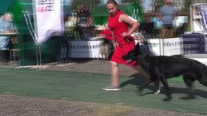 Бест Вео Лайн Олислава