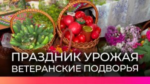 В Пестове прошёл окружной смотр-конкурс «Ветеранские подворья – 2026»