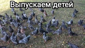 21-08-2026. Выпускаем детей.
