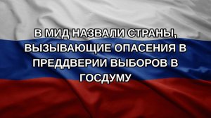 В МИД назвали страны, вызывающие опасения в преддверии выборов в Госдуму