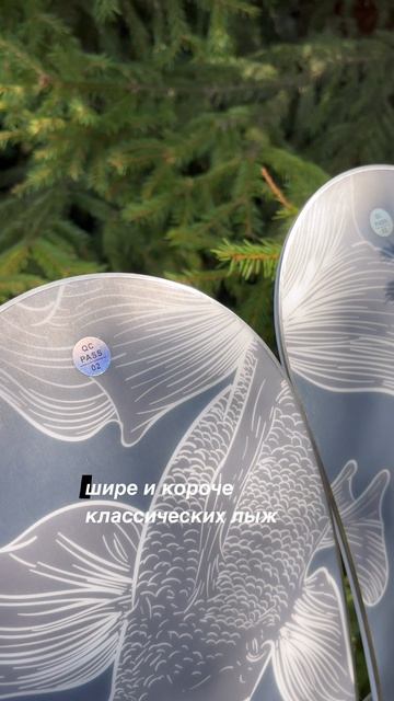 …немного о скибордах SLIPPERS