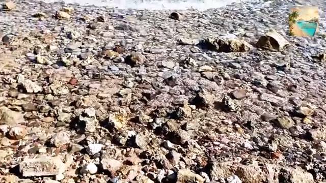 Вдохновляющие виды Красного моря: прогулка по Фемели Бич