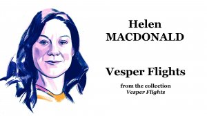 Vesper Flights | Сумеречные полеты