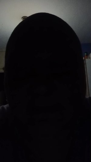 л