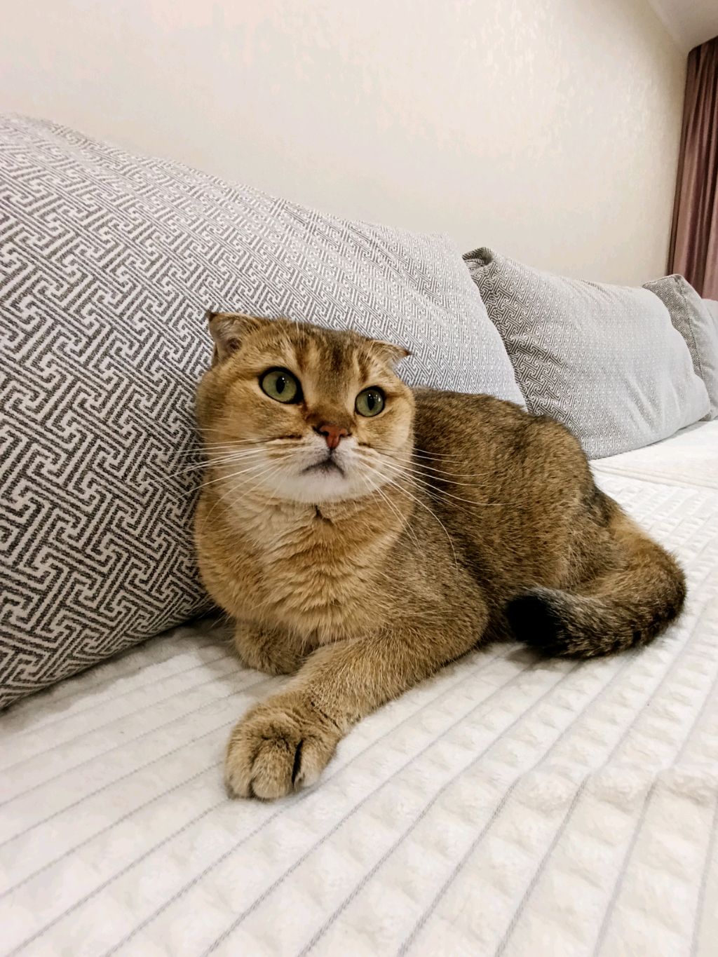 бимка