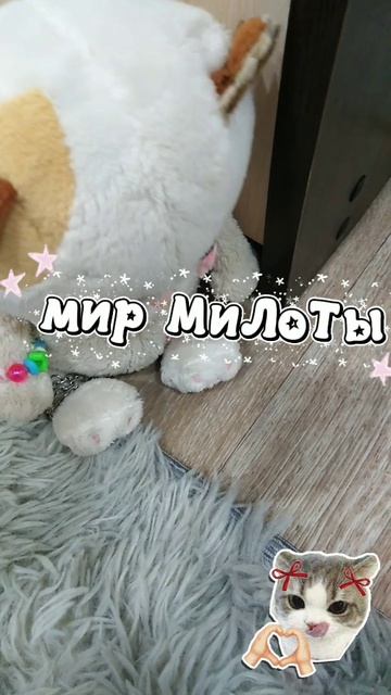 я ухожу из ака