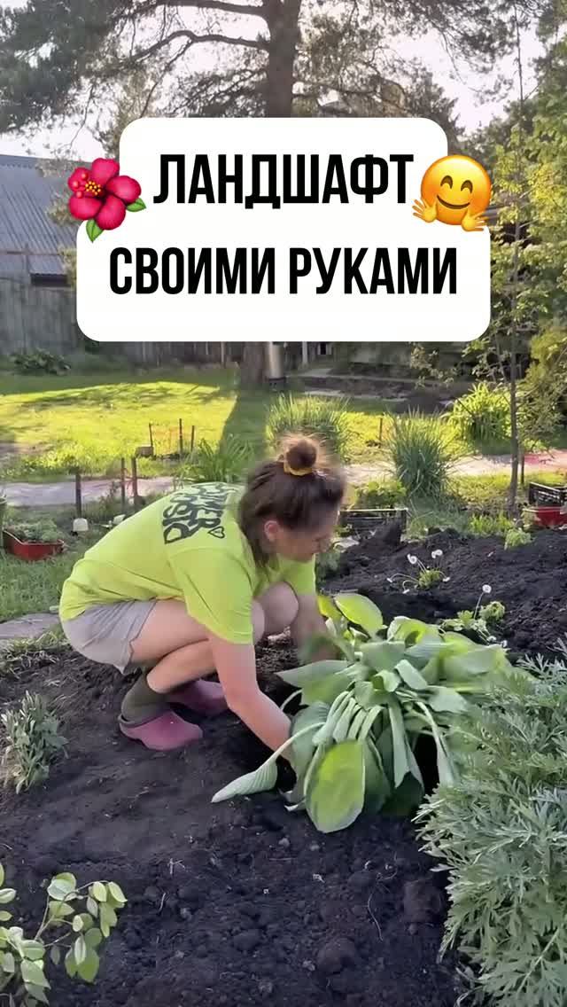 ЛАНДШАФТ СВОИМИ РУКАМИ