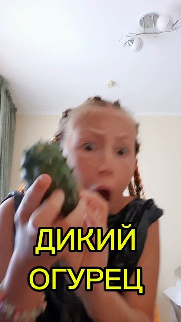 Дикий огурец 😲😨🥒🥒