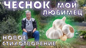 Чеснок мой любимец!