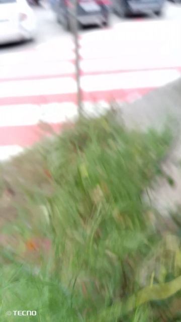 VID_20260820_184611