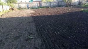 борона для картошки: устройство, эксплуатация