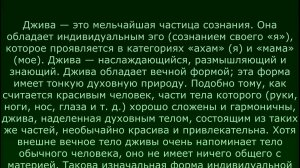 «Шри Джайва Дхарма»