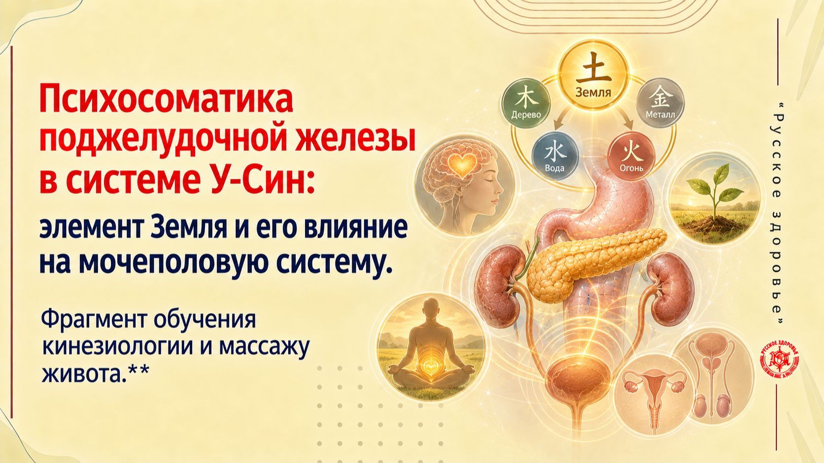 Психосоматика поджелудочной железы в системеУ-Син:элемент Земля и его влияние на мочеполовую систему