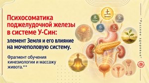 Психосоматика поджелудочной железы в системеУ-Син:элемент Земля и его влияние на мочеполовую систему