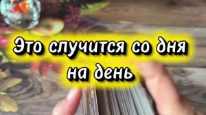 Это случится со дня на день 🍒Таро