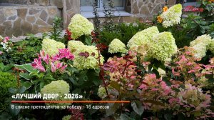 КРТВ. «Лучший двор - 2026»