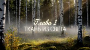 «Ткань из света» - глава 1. Видео-симфония «МУЗЫКА ОРГАНИЗМА»