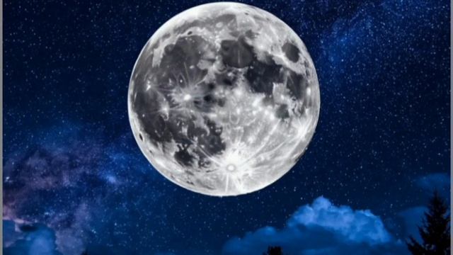 ЗВЁЗДНАЯ НОЧЬ