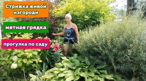 День добрых дел: стрижка живой изгороди, мятная грядка и прогулка по саду. Наш летний день в деталях
