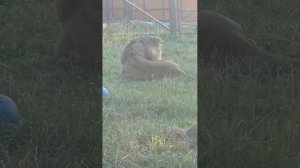 UDMB5872_20.08.2026-видео от Светланы