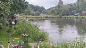 Карп клюёт!