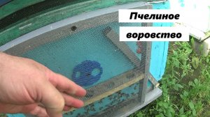 Защита от пчелиного воровства