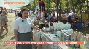 Хутор-фест: органический продукт развлечений