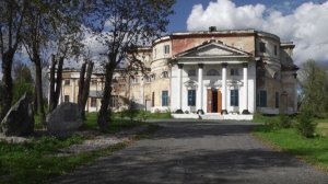 Высадка новых растений для привлечения внимания