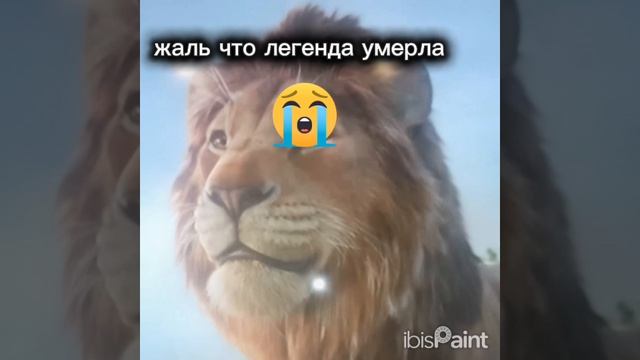 муфас