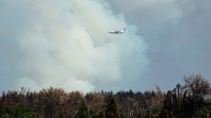 Вучич поблагодарил Россию за помощь в тушении лесных пожаров в Сербии