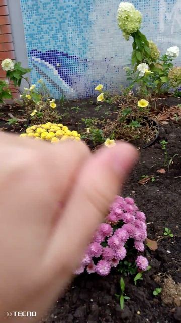 VID_20260820_184127