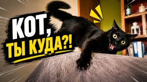 Смех до слёз: лучшие приколы №315