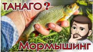 Танаго? Мормышинг! Рыбалка деликатными снастями.