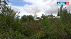 В Елецком районе обнаружен очаг борщевика Сосновского