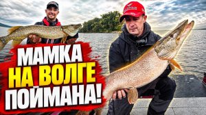КЛЮНУЛО ТАК, ЧТО СПИННИНГ СОГНУЛО. МАМКА НА ВОЛГЕ ПОЙМАНА!