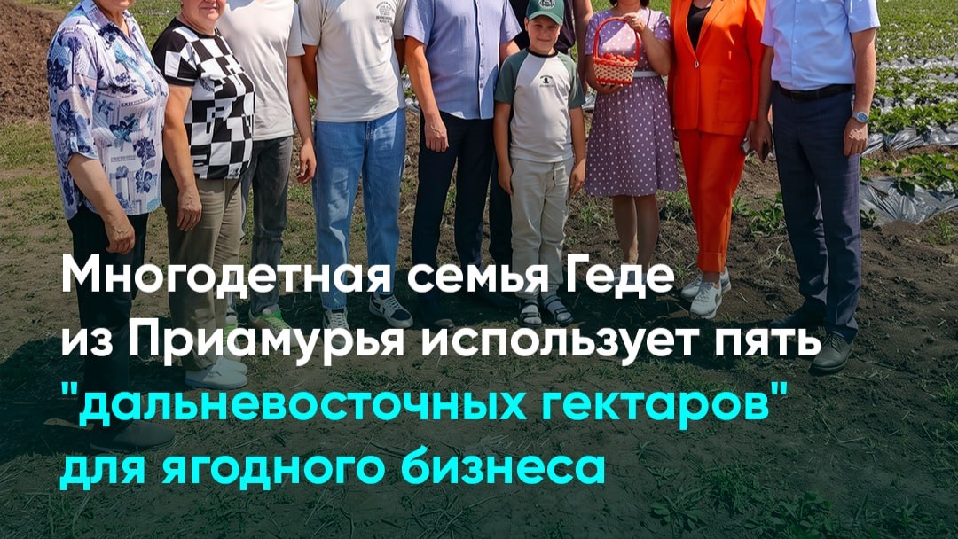 Как многодетная семья из Приамурья осваивает 5 «дальневосточных гектаров»