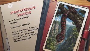 Агент биосферы / Краснопоясный динодон / 05.08.26