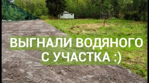 Как поднять заболоченный участок: отсыпка и планировка грунта