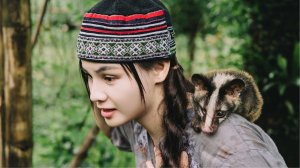 Сбор сахарного яблока и особого вида клубней в лесу.