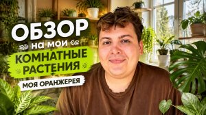 ОБЗОР НА МОЮ ДОМАШНЮЮ ОРАНЖЕРЕЮ 🌿 🏠 а у вас есть домашние растения?