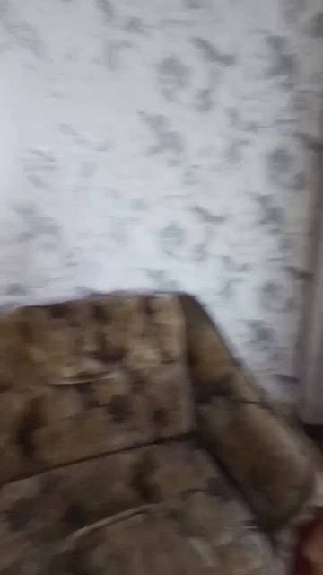 VID_20260821_121513