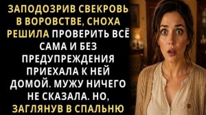 ИСТОРИИ ИЗ ЖИЗНИ/Невестка заподозрила свекровь в воровстве и реши/РЕАЛЬНЫЕ ИСТОРИИ/ЖИЗНЕННЫЕ ИСТОРИИ