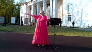 17. Светлана Рожнёвам  -  Течёт ручей.