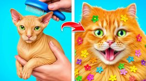Забавные ситуации с животными и их хозяевами!
