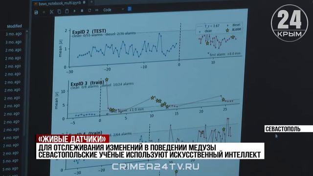 Живые датчики: севастопольские учёные отслеживают загрязнения Чёрного моря с помощью медуз