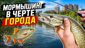 Мормышинг в черте города!  ЩУЧИЙ БЕСПРЕДЕЛ!