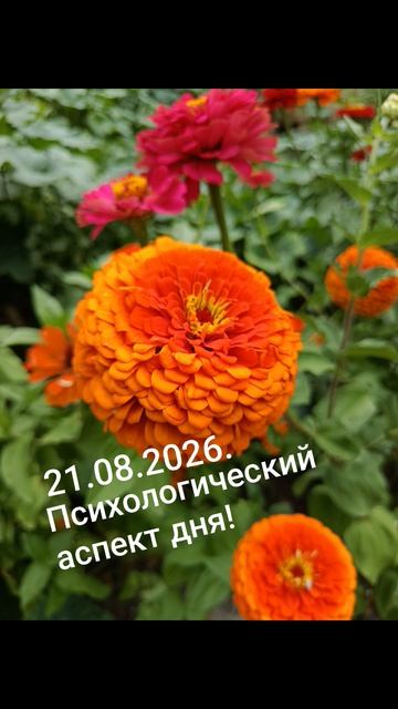 21.08.2026.✨🌈☀️Психологический аспект! Развиваем внутреннюю силу... #разум #чувства #душа #дела